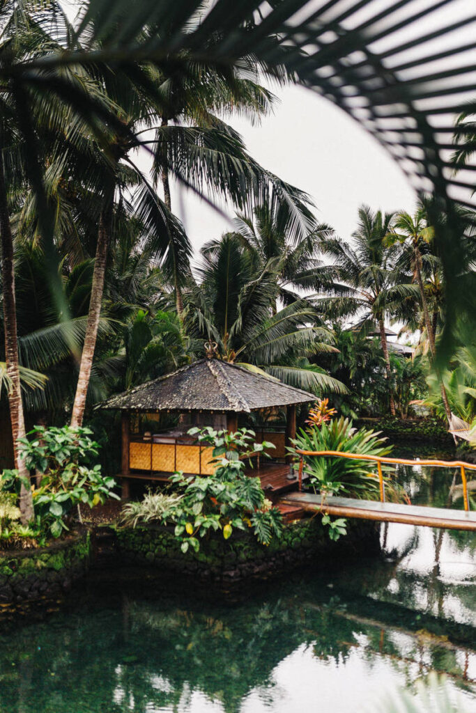 New Year Has Kicked In. Here Are The Celebrations Around The World